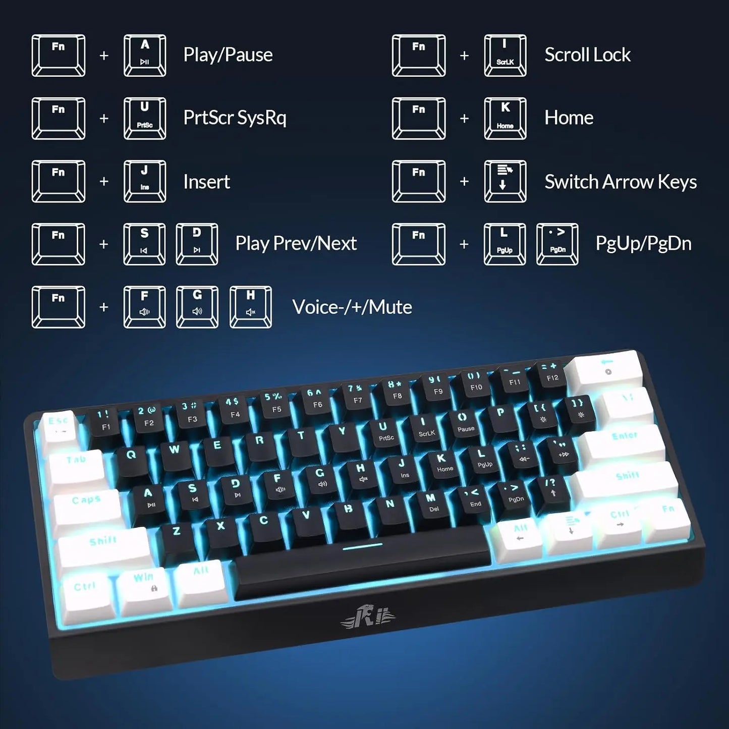 Rii RK806 60% Mechanical Gaming Keyboard,61 Keys Compact Wired Keyboard with Blue Backlight,Clicky Blue Switch,Anti-ghosting