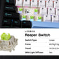 EPOMAKER X AULA F108 PRO Full Size 100% ANSI Layout Hot Swap Wired/2.4GHz/Bluetooth Wireless Mechanical Keyboard RGB Backlight