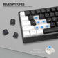 Rii RK806 60% Mechanical Gaming Keyboard,61 Keys Compact Wired Keyboard with Blue Backlight,Clicky Blue Switch,Anti-ghosting